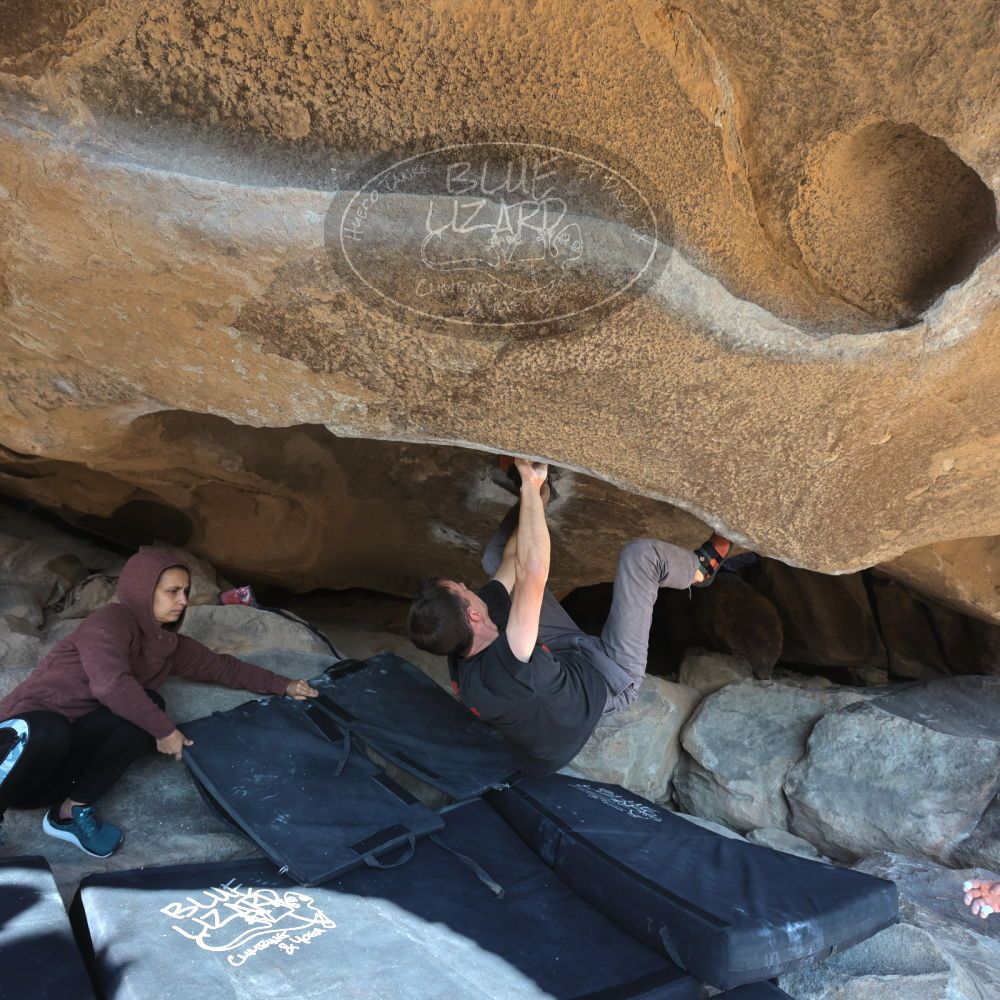 

Filename: SRM_20221219_1316460.jpg
Aperture: f/5.6
Shutter Speed: 1/400
Body: Canon EOS R6
Lens: Canon EF 16-35mm f/2.8 L