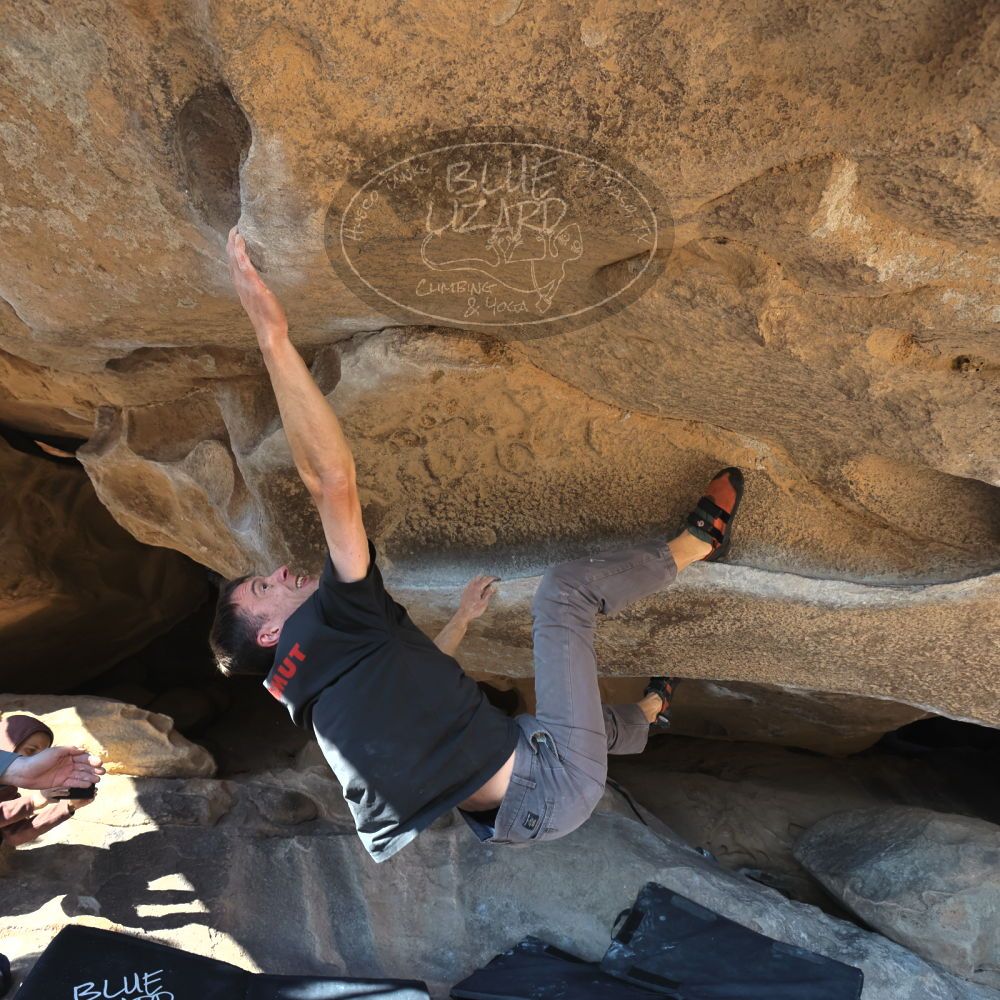 Filename: SRM_20221219_1317291.jpg
Aperture: f/5.6
Shutter Speed: 1/500
Body: Canon EOS R6
Lens: Canon EF 16-35mm f/2.8 L