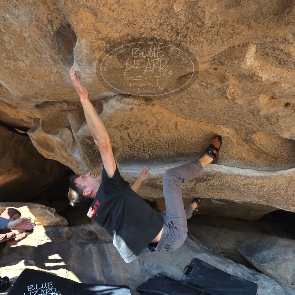 Filename: SRM_20221219_1317292.jpg
Aperture: f/5.6
Shutter Speed: 1/500
Body: Canon EOS R6
Lens: Canon EF 16-35mm f/2.8 L