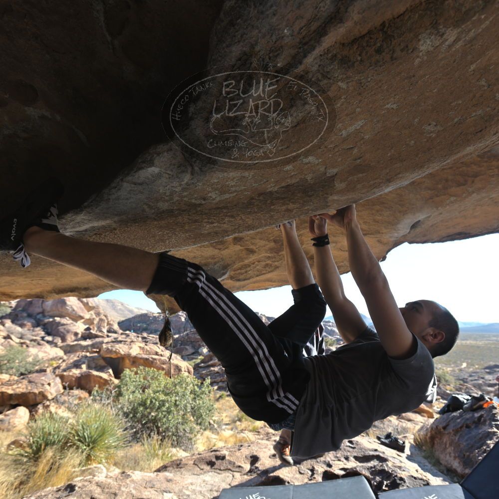 

Filename: SRM_20221219_1320310.jpg
Aperture: f/5.6
Shutter Speed: 1/160
Body: Canon EOS R6
Lens: Canon EF 16-35mm f/2.8 L