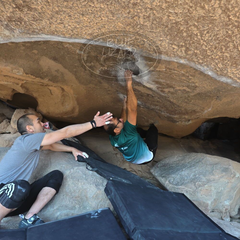 

Filename: SRM_20221219_1323470.jpg
Aperture: f/5.6
Shutter Speed: 1/400
Body: Canon EOS R6
Lens: Canon EF 16-35mm f/2.8 L