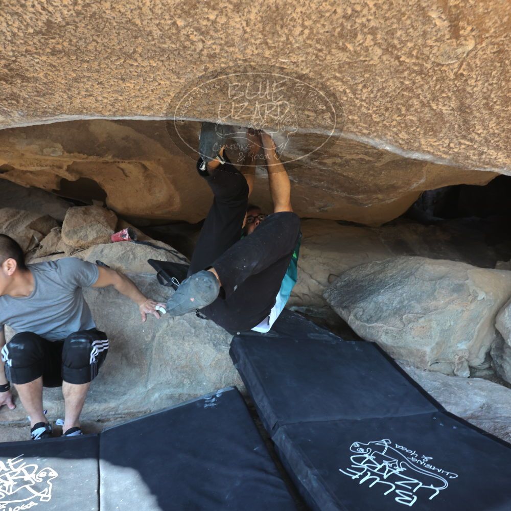 

Filename: SRM_20221219_1323490.jpg
Aperture: f/5.6
Shutter Speed: 1/400
Body: Canon EOS R6
Lens: Canon EF 16-35mm f/2.8 L