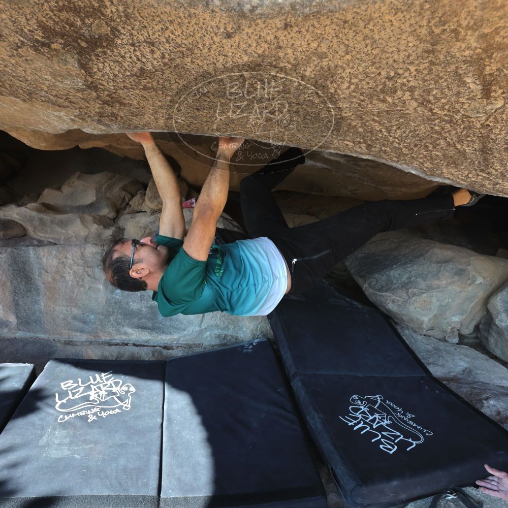 

Filename: SRM_20221219_1323560.jpg
Aperture: f/5.6
Shutter Speed: 1/400
Body: Canon EOS R6
Lens: Canon EF 16-35mm f/2.8 L