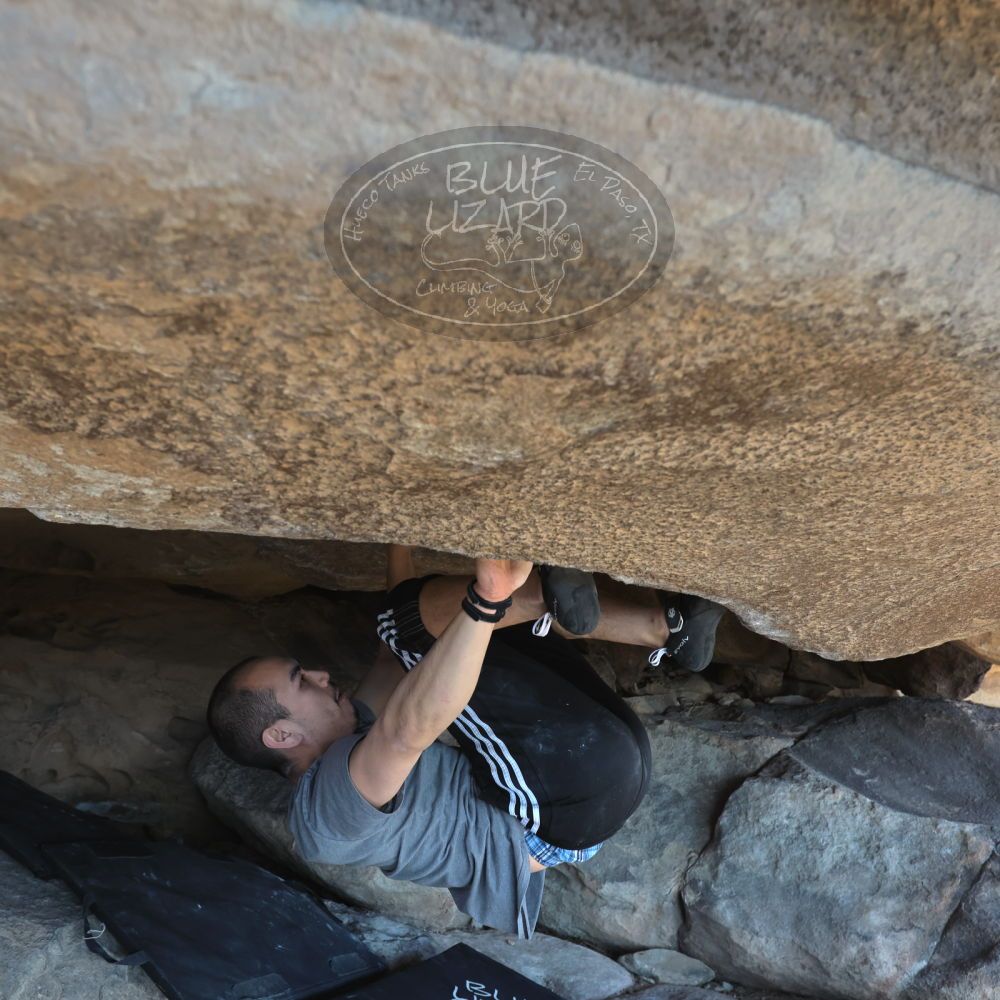 

Filename: SRM_20221219_1331290.jpg
Aperture: f/5.6
Shutter Speed: 1/400
Body: Canon EOS R6
Lens: Canon EF 16-35mm f/2.8 L