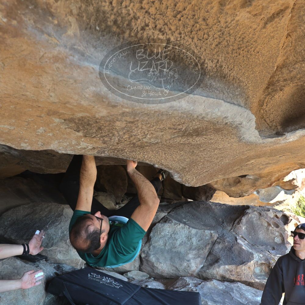 

Filename: SRM_20221219_1334310.jpg
Aperture: f/5.6
Shutter Speed: 1/400
Body: Canon EOS R6
Lens: Canon EF 16-35mm f/2.8 L