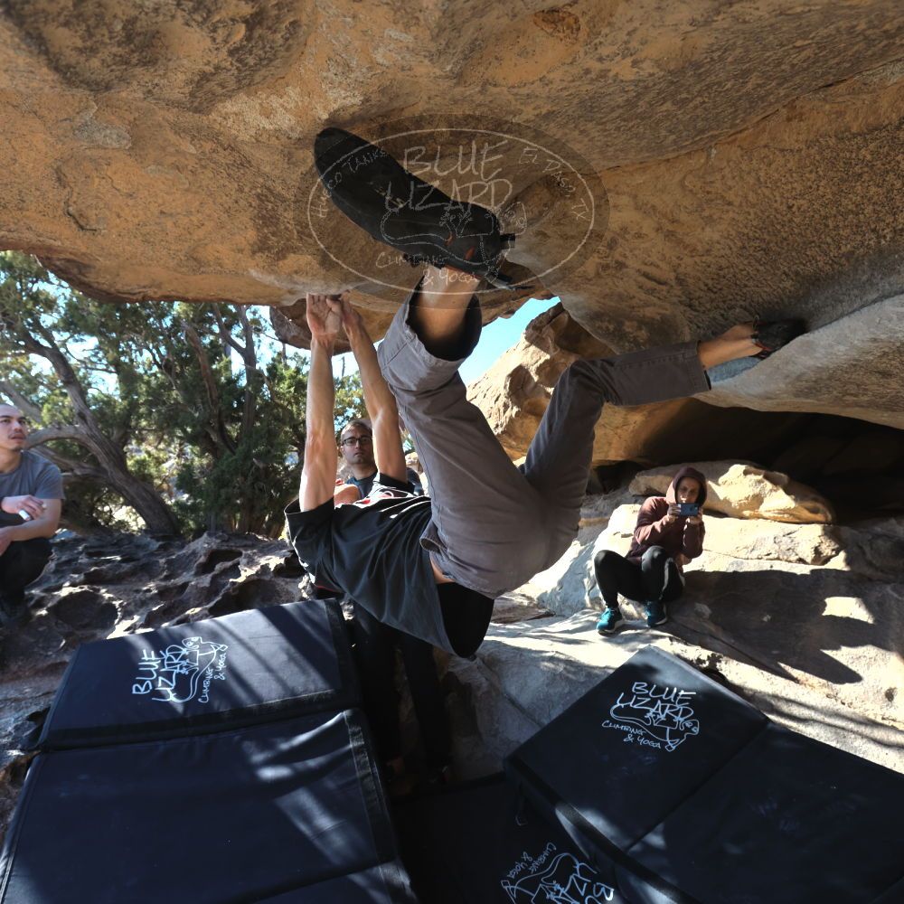 

Filename: SRM_20221219_1340470.jpg
Aperture: f/5.6
Shutter Speed: 1/400
Body: Canon EOS R6
Lens: Canon EF 16-35mm f/2.8 L