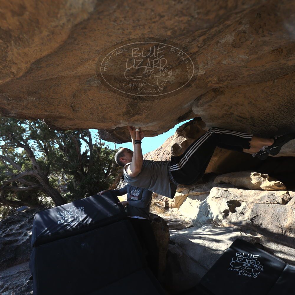 

Filename: SRM_20221219_1352120.jpg
Aperture: f/5.6
Shutter Speed: 1/500
Body: Canon EOS R6
Lens: Canon EF 16-35mm f/2.8 L