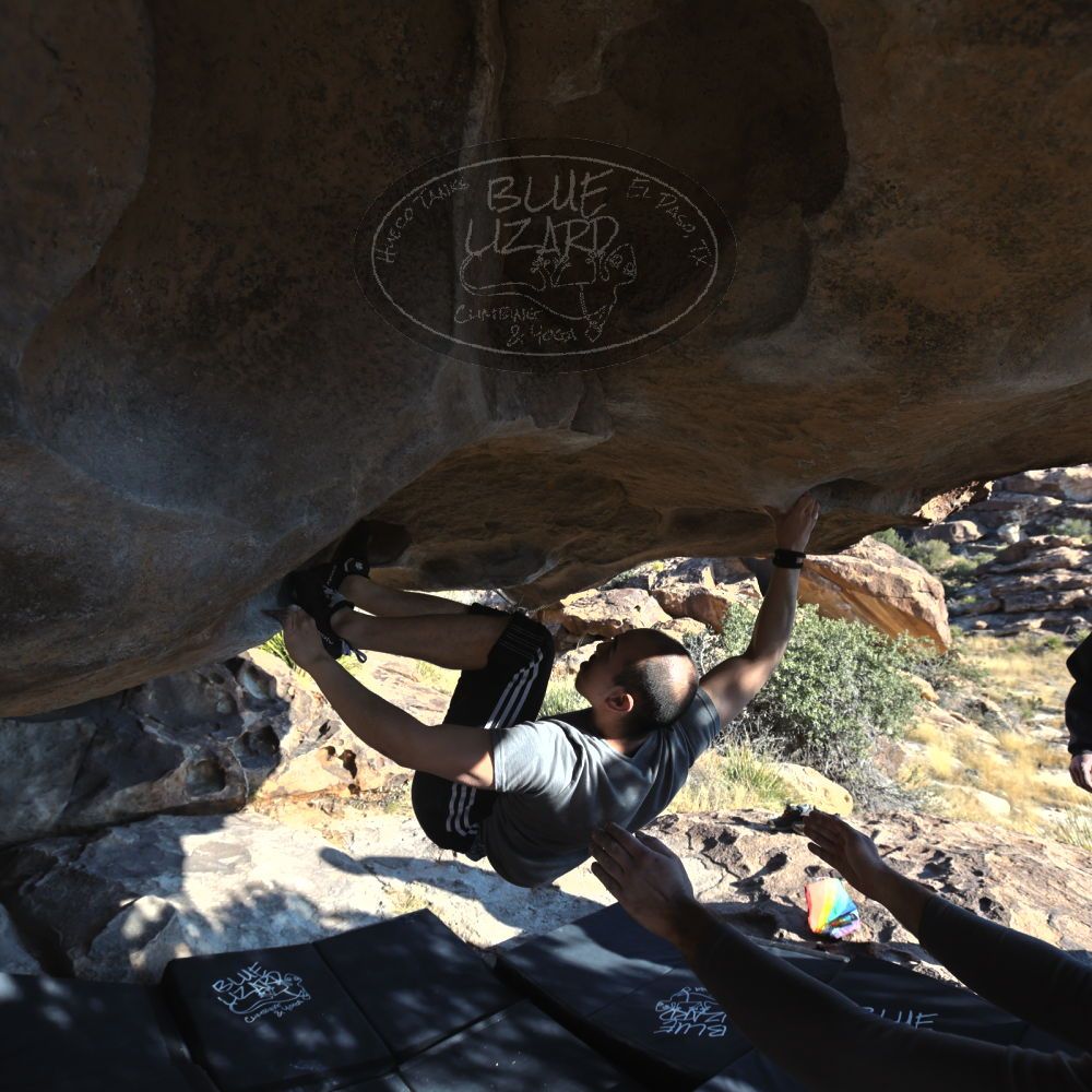 

Filename: SRM_20221219_1419190.jpg
Aperture: f/5.6
Shutter Speed: 1/500
Body: Canon EOS R6
Lens: Canon EF 16-35mm f/2.8 L