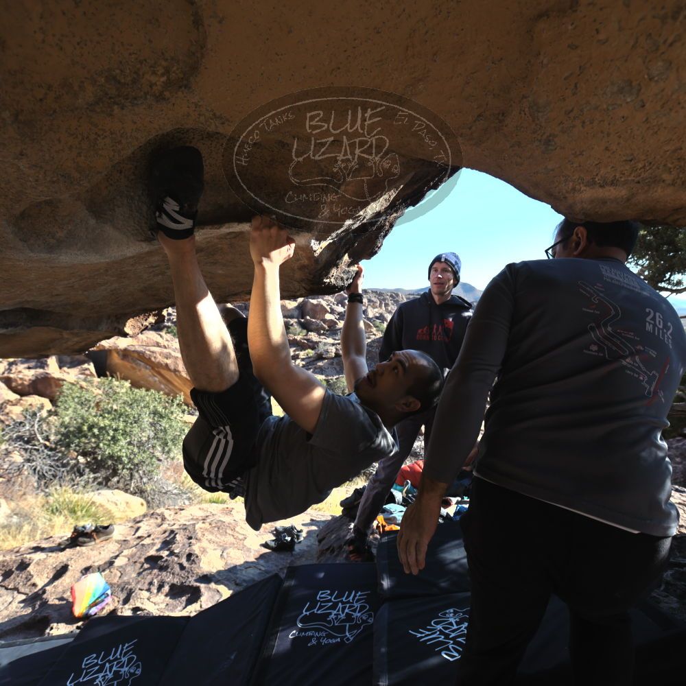 Filename: SRM_20221219_1419490.jpg
Aperture: f/5.6
Shutter Speed: 1/500
Body: Canon EOS R6
Lens: Canon EF 16-35mm f/2.8 L