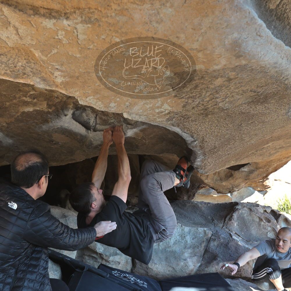 

Filename: SRM_20221219_1425530.jpg
Aperture: f/5.6
Shutter Speed: 1/500
Body: Canon EOS R6
Lens: Canon EF 16-35mm f/2.8 L