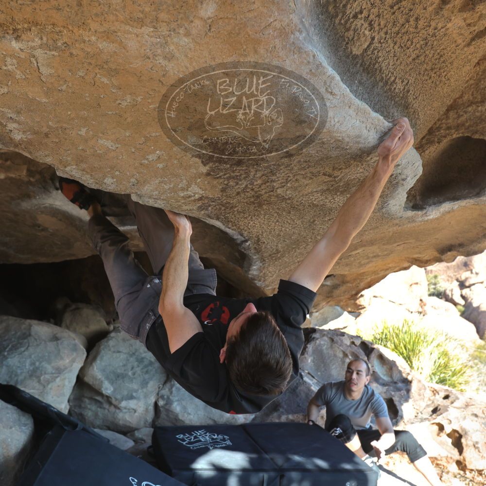 

Filename: SRM_20221219_1426020.jpg
Aperture: f/5.6
Shutter Speed: 1/500
Body: Canon EOS R6
Lens: Canon EF 16-35mm f/2.8 L