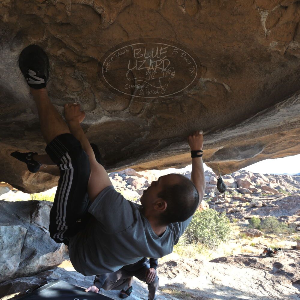 

Filename: SRM_20221219_1437320.jpg
Aperture: f/5.6
Shutter Speed: 1/500
Body: Canon EOS R6
Lens: Canon EF 16-35mm f/2.8 L