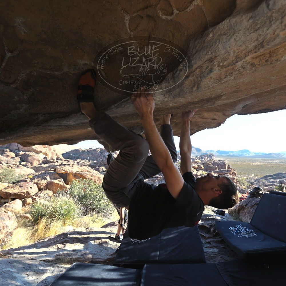 

Filename: SRM_20221219_1442010.jpg
Aperture: f/5.6
Shutter Speed: 1/500
Body: Canon EOS R6
Lens: Canon EF 16-35mm f/2.8 L