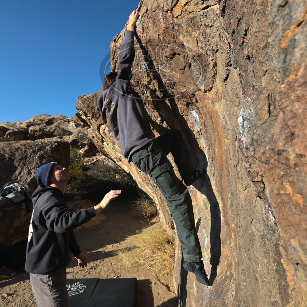 

Filename: SRM_20221219_1524070.jpg
Aperture: f/8.0
Shutter Speed: 1/800
Body: Canon EOS R6
Lens: Canon EF 16-35mm f/2.8 L