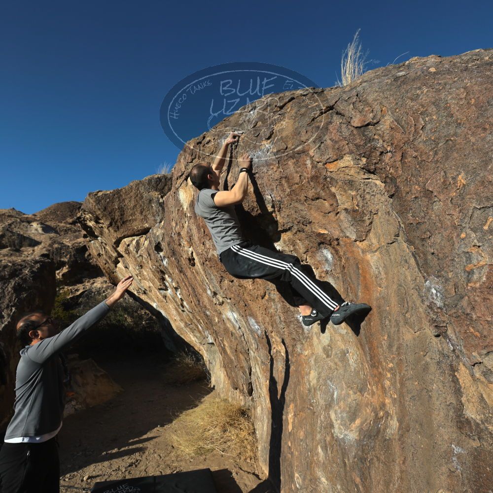 

Filename: SRM_20221219_1533290.jpg
Aperture: f/8.0
Shutter Speed: 1/800
Body: Canon EOS R6
Lens: Canon EF 16-35mm f/2.8 L