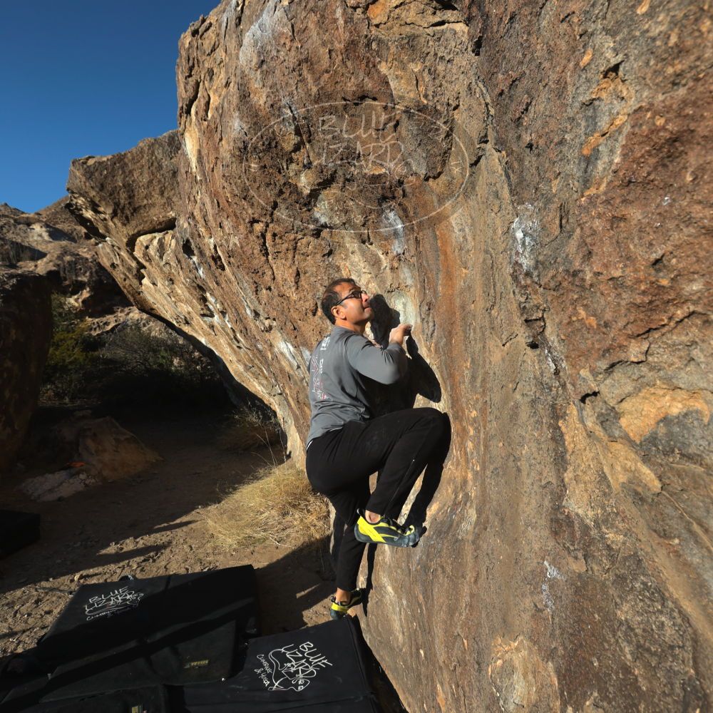 

Filename: SRM_20221219_1534380.jpg
Aperture: f/8.0
Shutter Speed: 1/800
Body: Canon EOS R6
Lens: Canon EF 16-35mm f/2.8 L