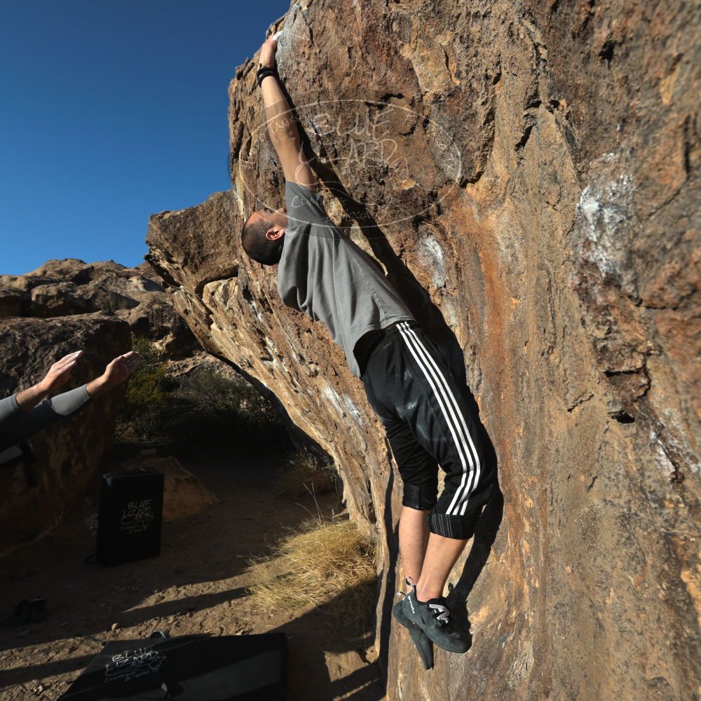 Filename: SRM_20221219_1536250.jpg
Aperture: f/8.0
Shutter Speed: 1/800
Body: Canon EOS R6
Lens: Canon EF 16-35mm f/2.8 L