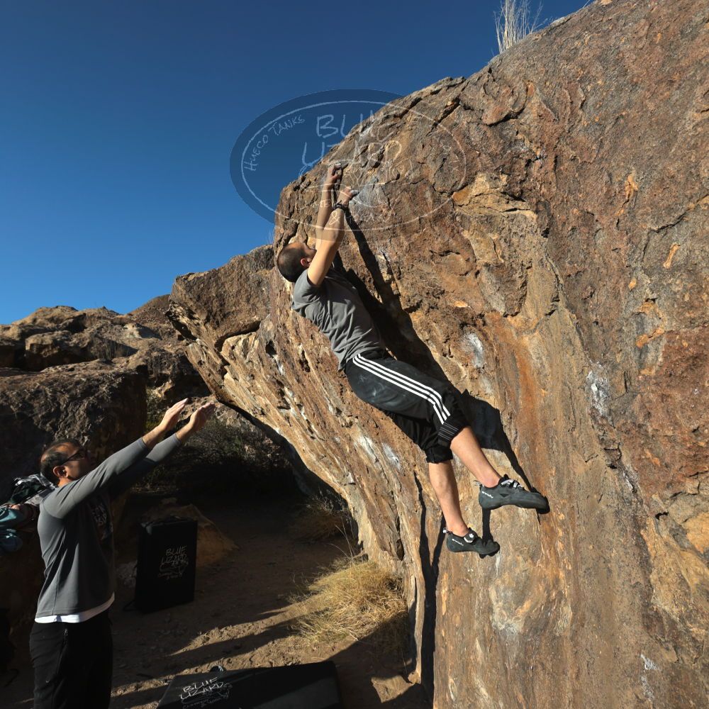 

Filename: SRM_20221219_1536370.jpg
Aperture: f/8.0
Shutter Speed: 1/800
Body: Canon EOS R6
Lens: Canon EF 16-35mm f/2.8 L