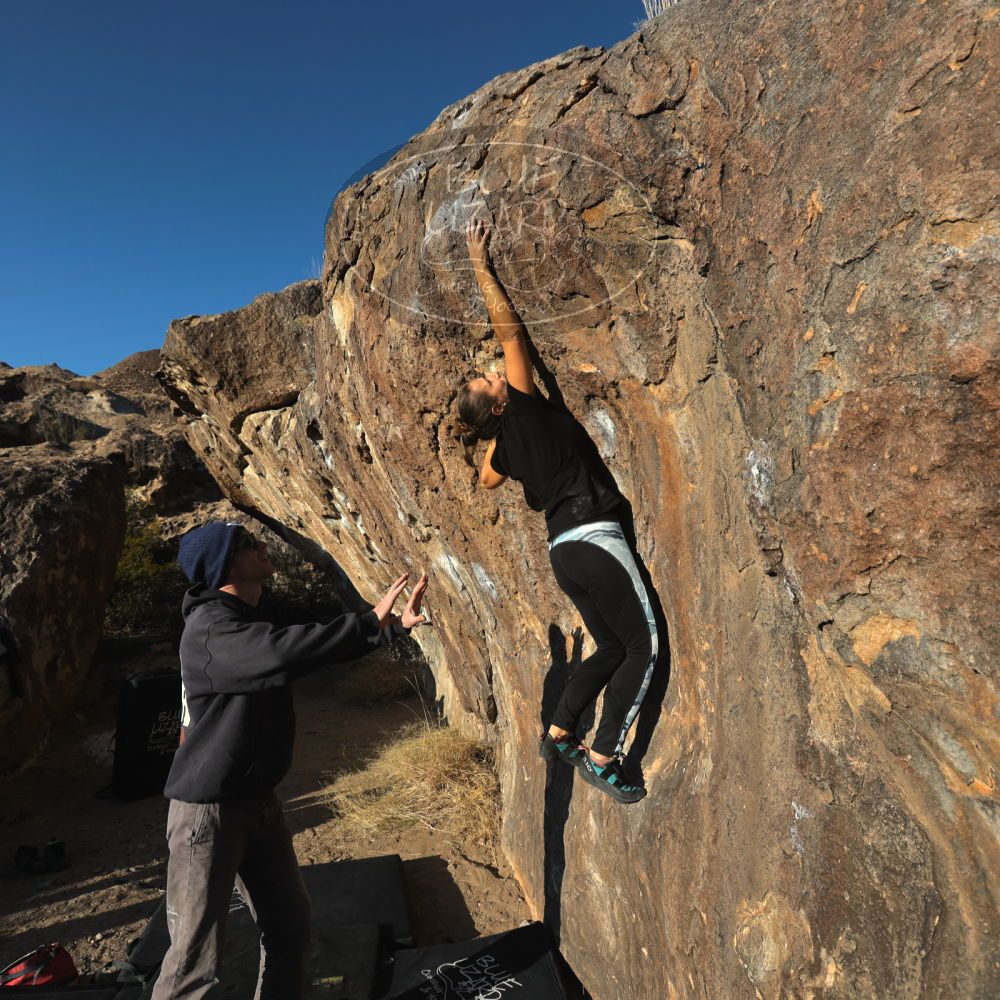 Filename: SRM_20221219_1542251.jpg
Aperture: f/8.0
Shutter Speed: 1/800
Body: Canon EOS R6
Lens: Canon EF 16-35mm f/2.8 L