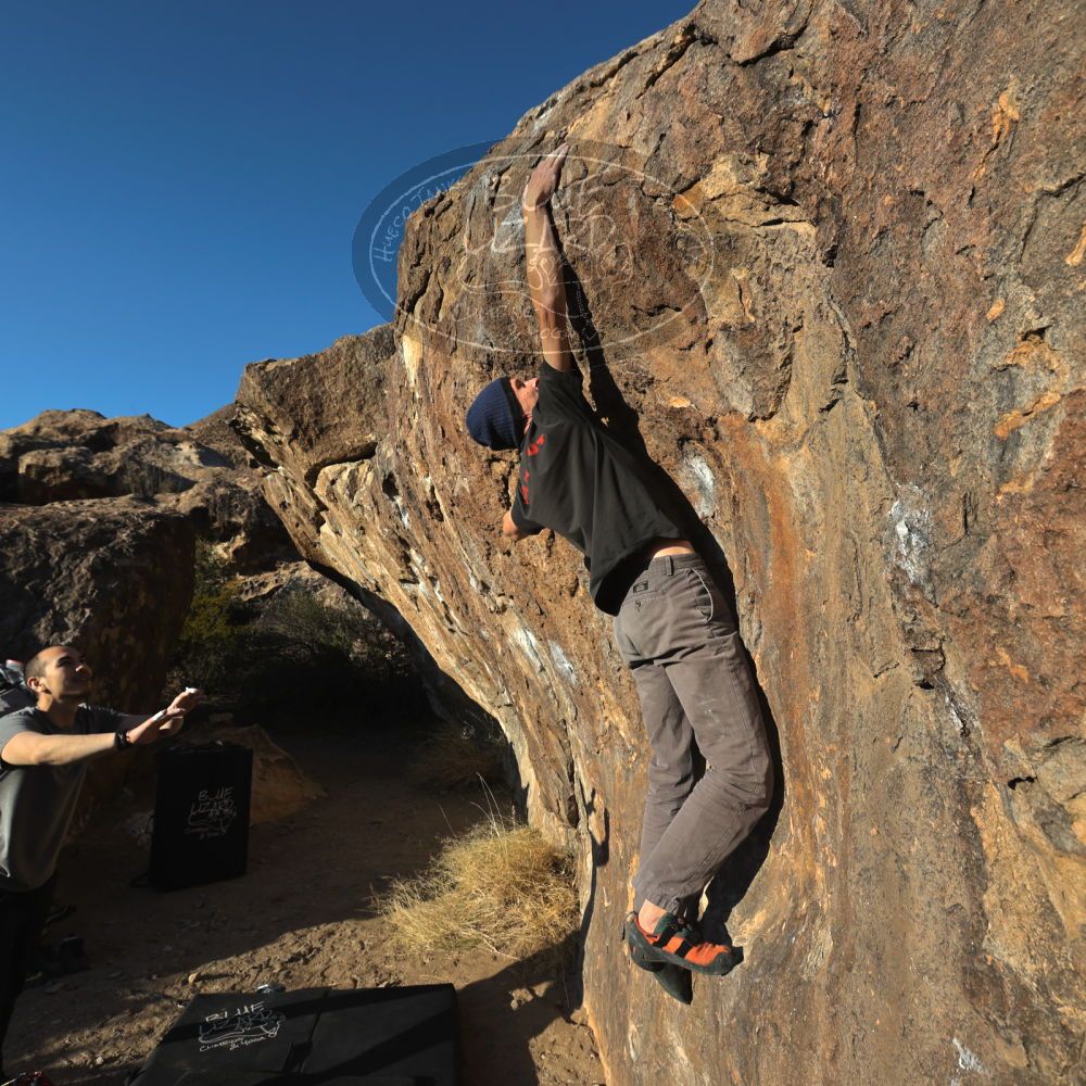 Filename: SRM_20221219_1547100.jpg
Aperture: f/8.0
Shutter Speed: 1/800
Body: Canon EOS R6
Lens: Canon EF 16-35mm f/2.8 L