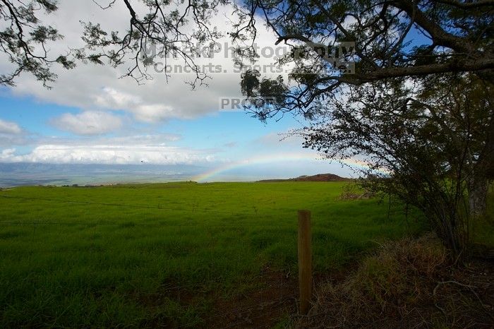 Bike trip down Haleakala. Trip to Maui, Hawai'i, 2007.
Filename: SRM_20071221_1050127.jpg
Aperture: f/8.0
Shutter Speed: 1/250
Body: Canon EOS-1D Mark II
Lens: Sigma 15-30mm f/3.5-4.5 EX Aspherical DG DF