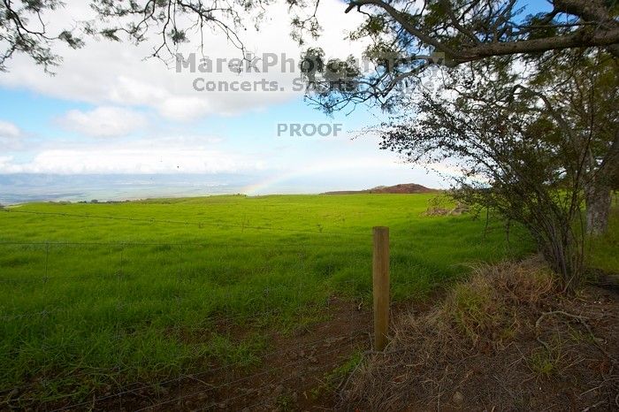 Bike trip down Haleakala. Trip to Maui, Hawai'i, 2007.
Filename: SRM_20071221_1050269.jpg
Aperture: f/8.0
Shutter Speed: 1/250
Body: Canon EOS-1D Mark II
Lens: Sigma 15-30mm f/3.5-4.5 EX Aspherical DG DF