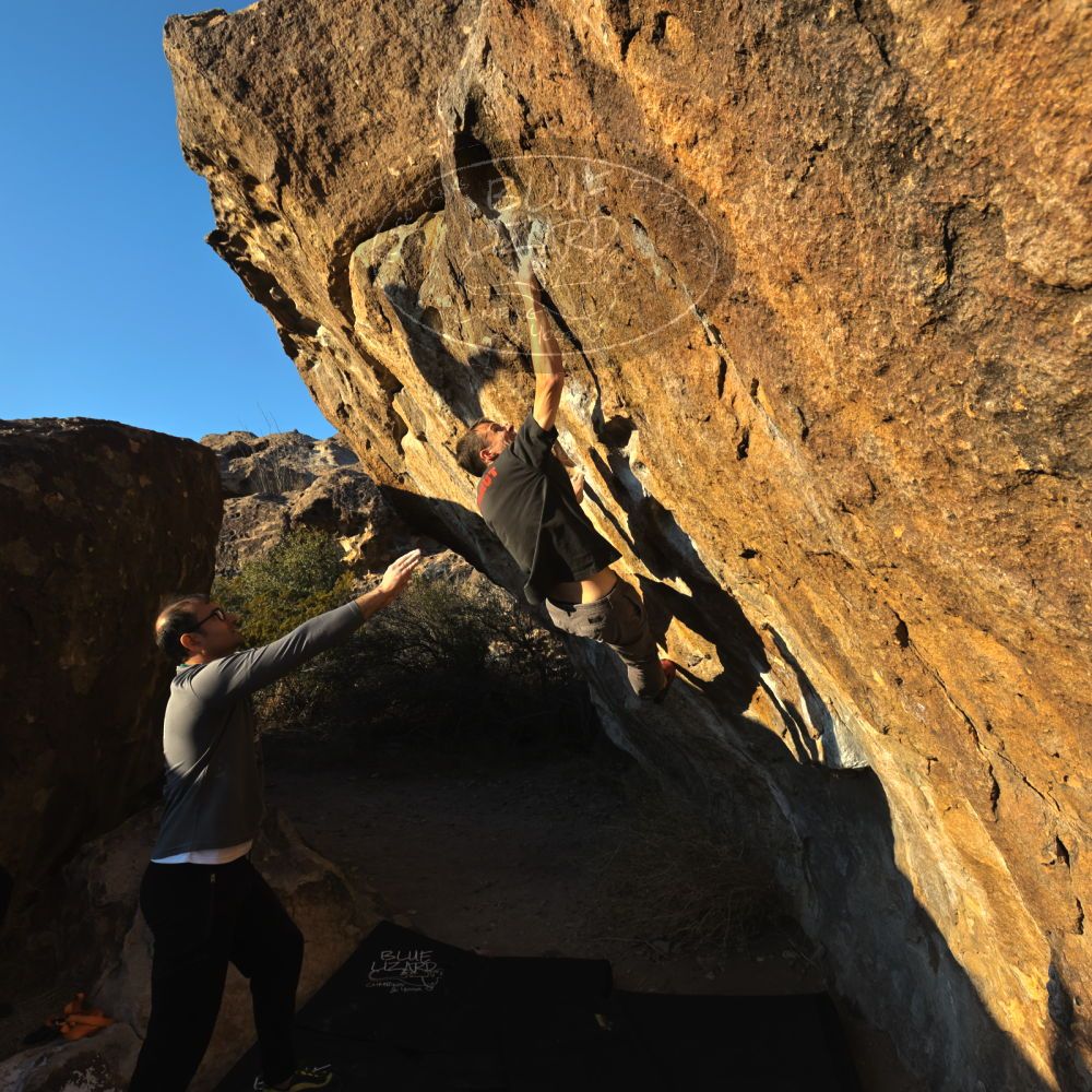 

Filename: SRM_20221219_1613290.jpg
Aperture: f/8.0
Shutter Speed: 1/800
Body: Canon EOS R6
Lens: Canon EF 16-35mm f/2.8 L