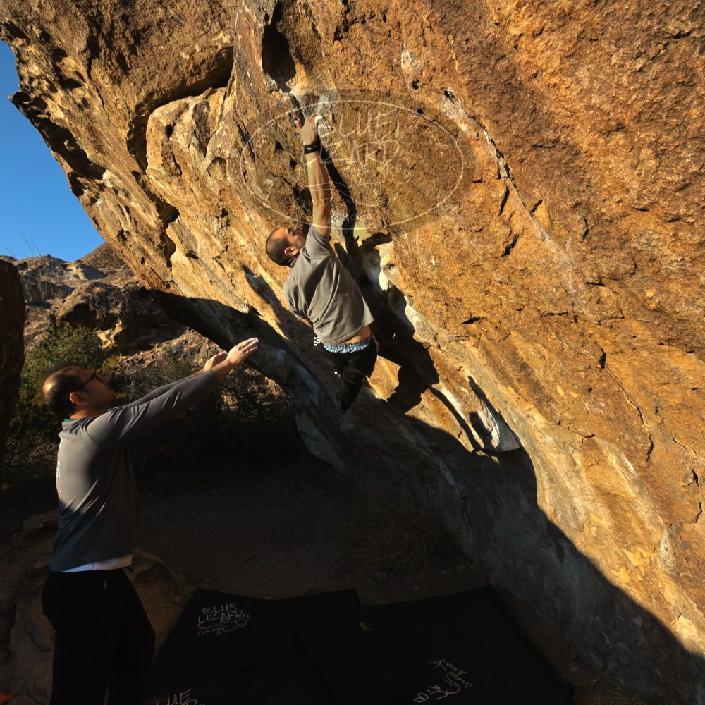 

Filename: SRM_20221219_1613540.jpg
Aperture: f/8.0
Shutter Speed: 1/800
Body: Canon EOS R6
Lens: Canon EF 16-35mm f/2.8 L