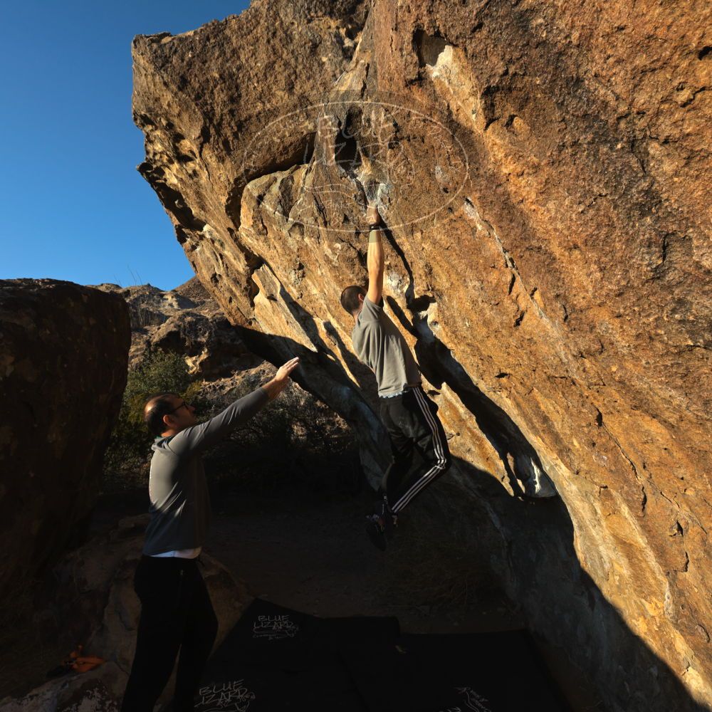 

Filename: SRM_20221219_1613580.jpg
Aperture: f/8.0
Shutter Speed: 1/800
Body: Canon EOS R6
Lens: Canon EF 16-35mm f/2.8 L