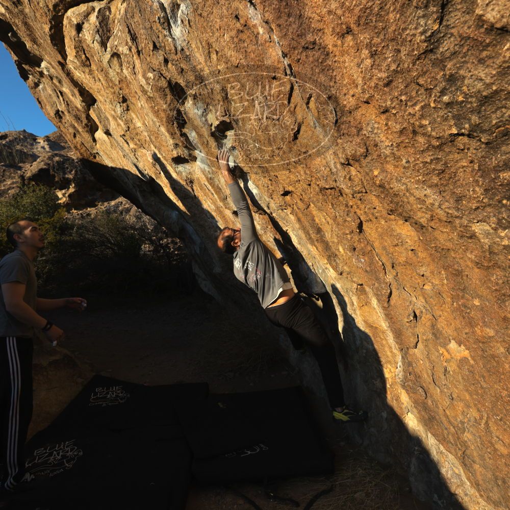 Filename: SRM_20221219_1614210.jpg
Aperture: f/8.0
Shutter Speed: 1/800
Body: Canon EOS R6
Lens: Canon EF 16-35mm f/2.8 L