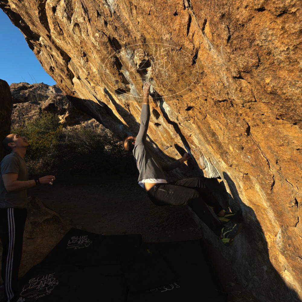 

Filename: SRM_20221219_1614270.jpg
Aperture: f/8.0
Shutter Speed: 1/800
Body: Canon EOS R6
Lens: Canon EF 16-35mm f/2.8 L