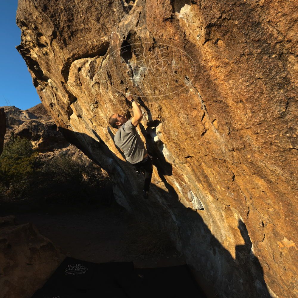 Filename: SRM_20221219_1617260.jpg
Aperture: f/8.0
Shutter Speed: 1/800
Body: Canon EOS R6
Lens: Canon EF 16-35mm f/2.8 L