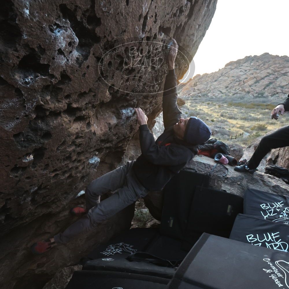 

Filename: SRM_20221219_1655370.jpg
Aperture: f/5.6
Shutter Speed: 1/400
Body: Canon EOS R6
Lens: Canon EF 16-35mm f/2.8 L