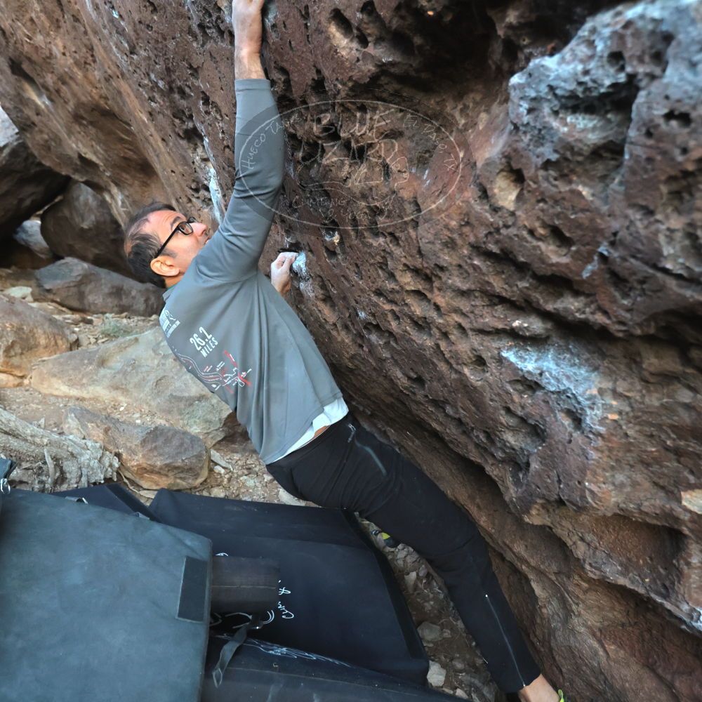 Filename: SRM_20221219_1700310.jpg
Aperture: f/4.0
Shutter Speed: 1/320
Body: Canon EOS R6
Lens: Canon EF 16-35mm f/2.8 L