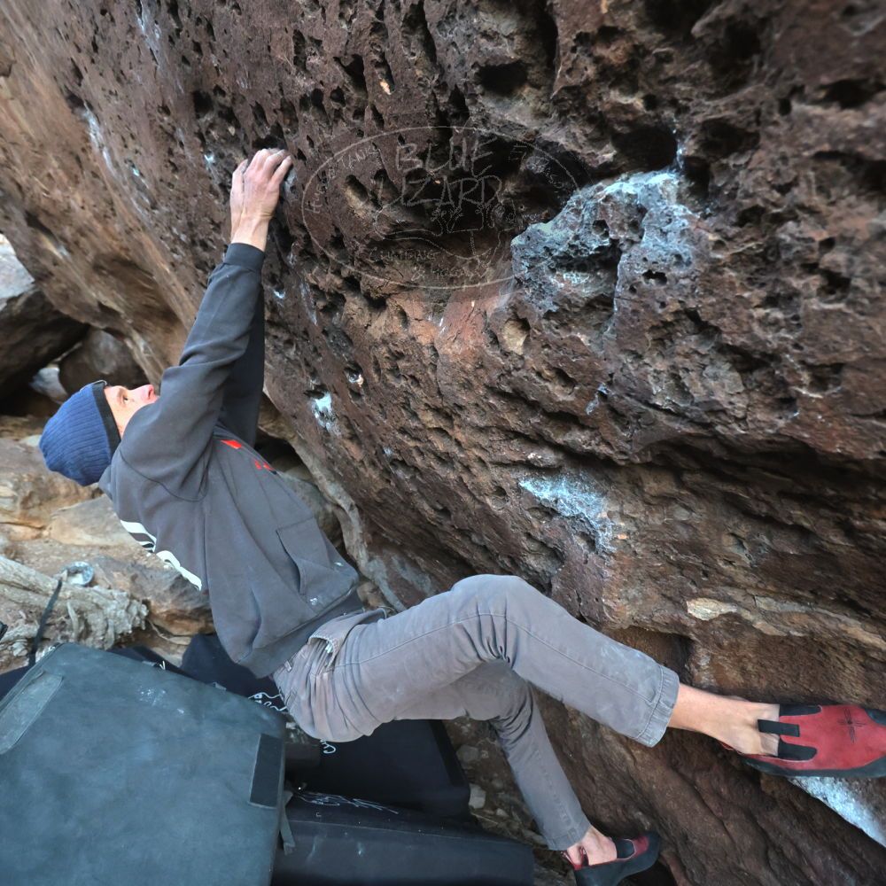 

Filename: SRM_20221219_1701500.jpg
Aperture: f/4.0
Shutter Speed: 1/320
Body: Canon EOS R6
Lens: Canon EF 16-35mm f/2.8 L