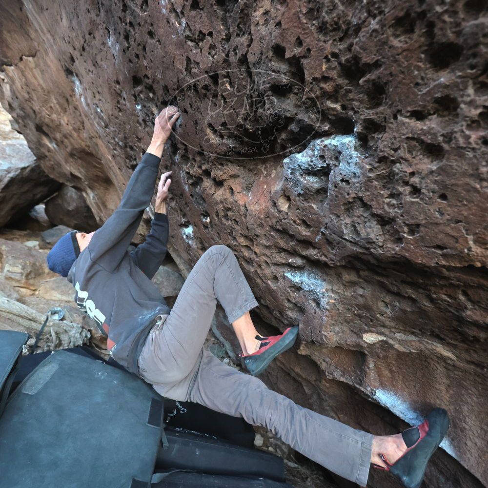 

Filename: SRM_20221219_1702360.jpg
Aperture: f/4.0
Shutter Speed: 1/320
Body: Canon EOS R6
Lens: Canon EF 16-35mm f/2.8 L