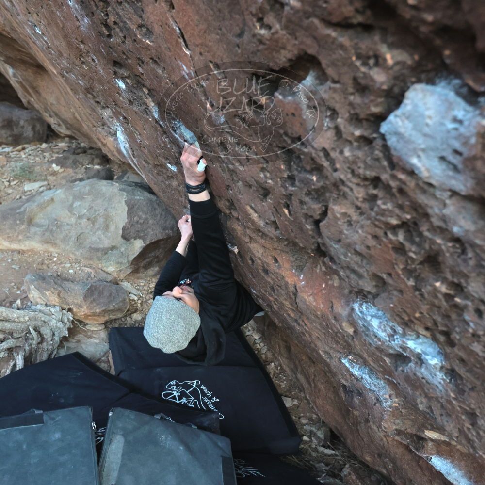 

Filename: SRM_20221219_1704450.jpg
Aperture: f/4.0
Shutter Speed: 1/320
Body: Canon EOS R6
Lens: Canon EF 16-35mm f/2.8 L