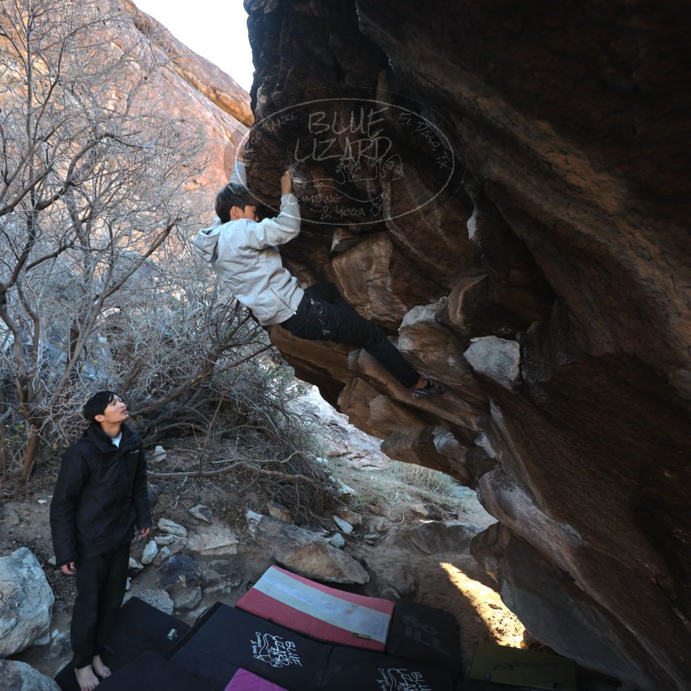 

Filename: SRM_20221220_1010550.jpg
Aperture: f/4.0
Shutter Speed: 1/320
Body: Canon EOS R6
Lens: Canon EF 16-35mm f/2.8 L