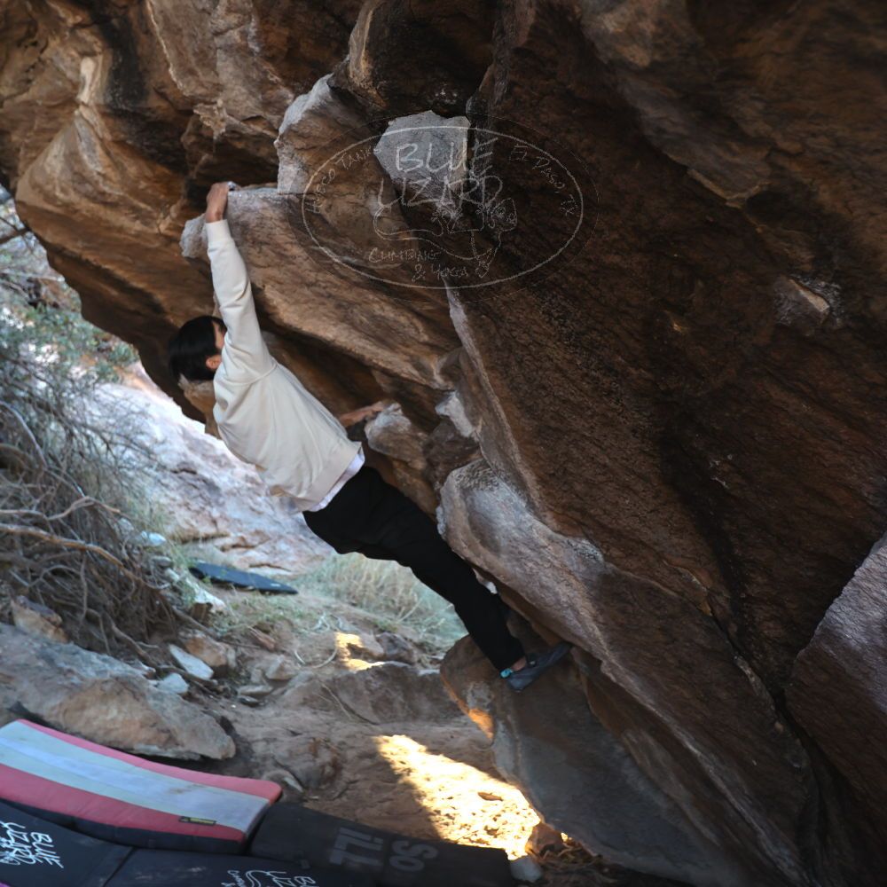 

Filename: SRM_20221220_1012571.jpg
Aperture: f/3.5
Shutter Speed: 1/320
Body: Canon EOS R6
Lens: Canon EF 16-35mm f/2.8 L