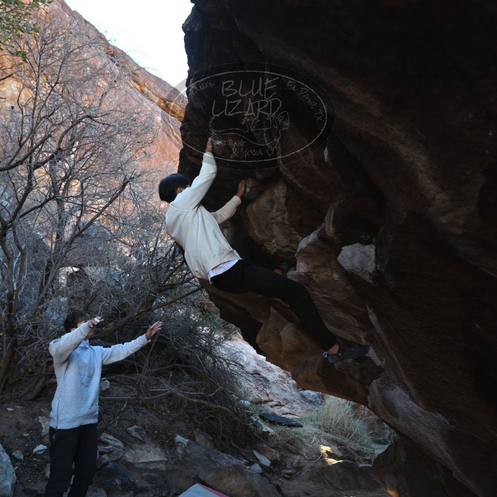 

Filename: SRM_20221220_1013070.jpg
Aperture: f/3.5
Shutter Speed: 1/320
Body: Canon EOS R6
Lens: Canon EF 16-35mm f/2.8 L