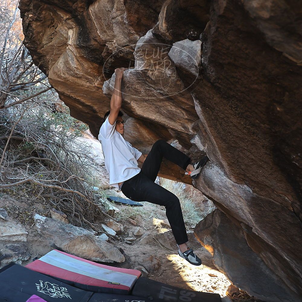 

Filename: SRM_20221220_1014020.jpg
Aperture: f/3.5
Shutter Speed: 1/320
Body: Canon EOS R6
Lens: Canon EF 16-35mm f/2.8 L