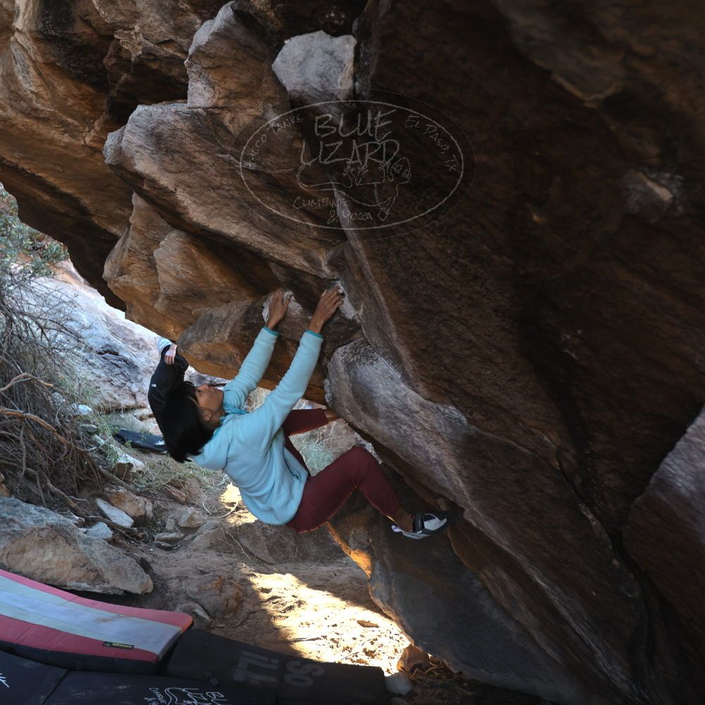 

Filename: SRM_20221220_1015070.jpg
Aperture: f/3.5
Shutter Speed: 1/320
Body: Canon EOS R6
Lens: Canon EF 16-35mm f/2.8 L