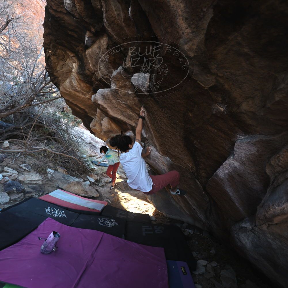 

Filename: SRM_20221220_1016380.jpg
Aperture: f/3.5
Shutter Speed: 1/320
Body: Canon EOS R6
Lens: Canon EF 16-35mm f/2.8 L