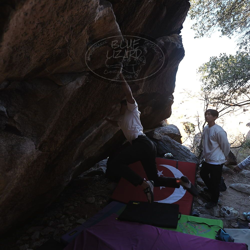 Filename: SRM_20221220_1021174.jpg
Aperture: f/3.5
Shutter Speed: 1/320
Body: Canon EOS R6
Lens: Canon EF 16-35mm f/2.8 L