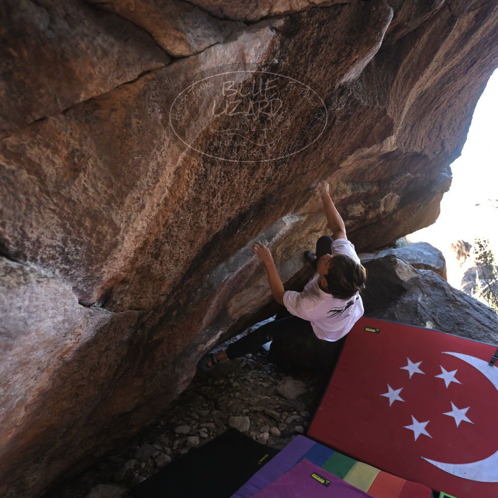 

Filename: SRM_20221220_1030290.jpg
Aperture: f/3.5
Shutter Speed: 1/320
Body: Canon EOS R6
Lens: Canon EF 16-35mm f/2.8 L