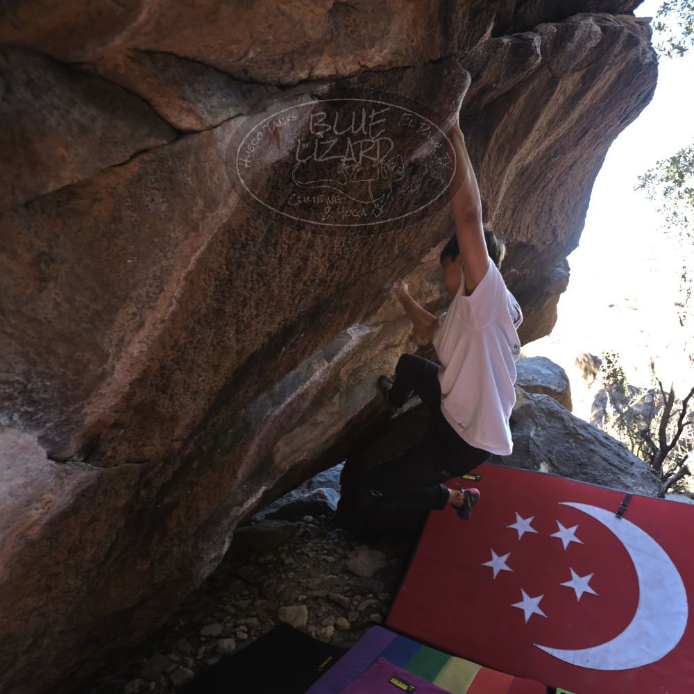 

Filename: SRM_20221220_1030313.jpg
Aperture: f/3.5
Shutter Speed: 1/320
Body: Canon EOS R6
Lens: Canon EF 16-35mm f/2.8 L