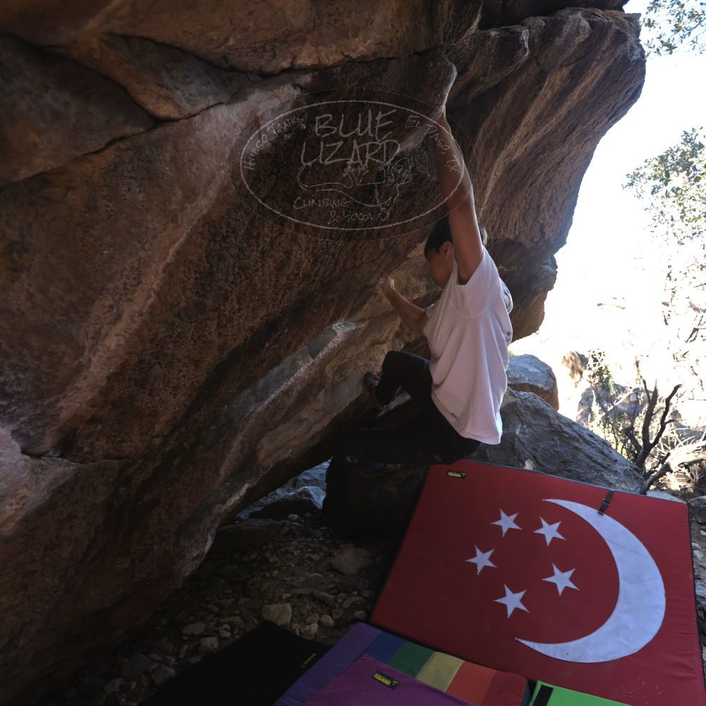 Filename: SRM_20221220_1030314.jpg
Aperture: f/3.5
Shutter Speed: 1/320
Body: Canon EOS R6
Lens: Canon EF 16-35mm f/2.8 L