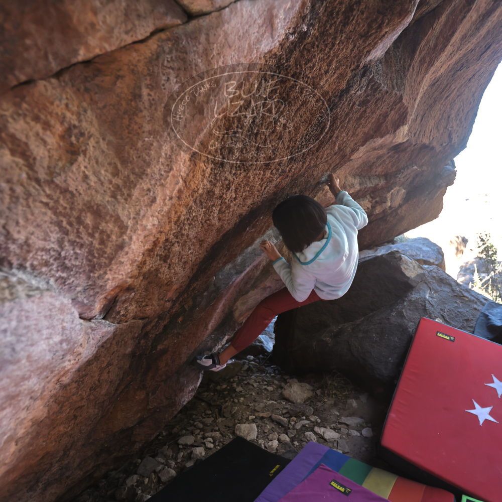 

Filename: SRM_20221220_1031460.jpg
Aperture: f/3.5
Shutter Speed: 1/320
Body: Canon EOS R6
Lens: Canon EF 16-35mm f/2.8 L