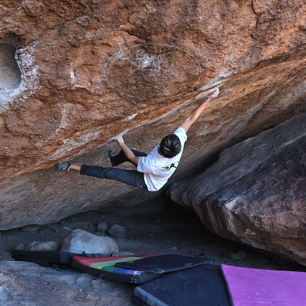 Filename: SRM_20221220_1046520.jpg
Aperture: f/3.5
Shutter Speed: 1/320
Body: Canon EOS R6
Lens: Canon EF 16-35mm f/2.8 L