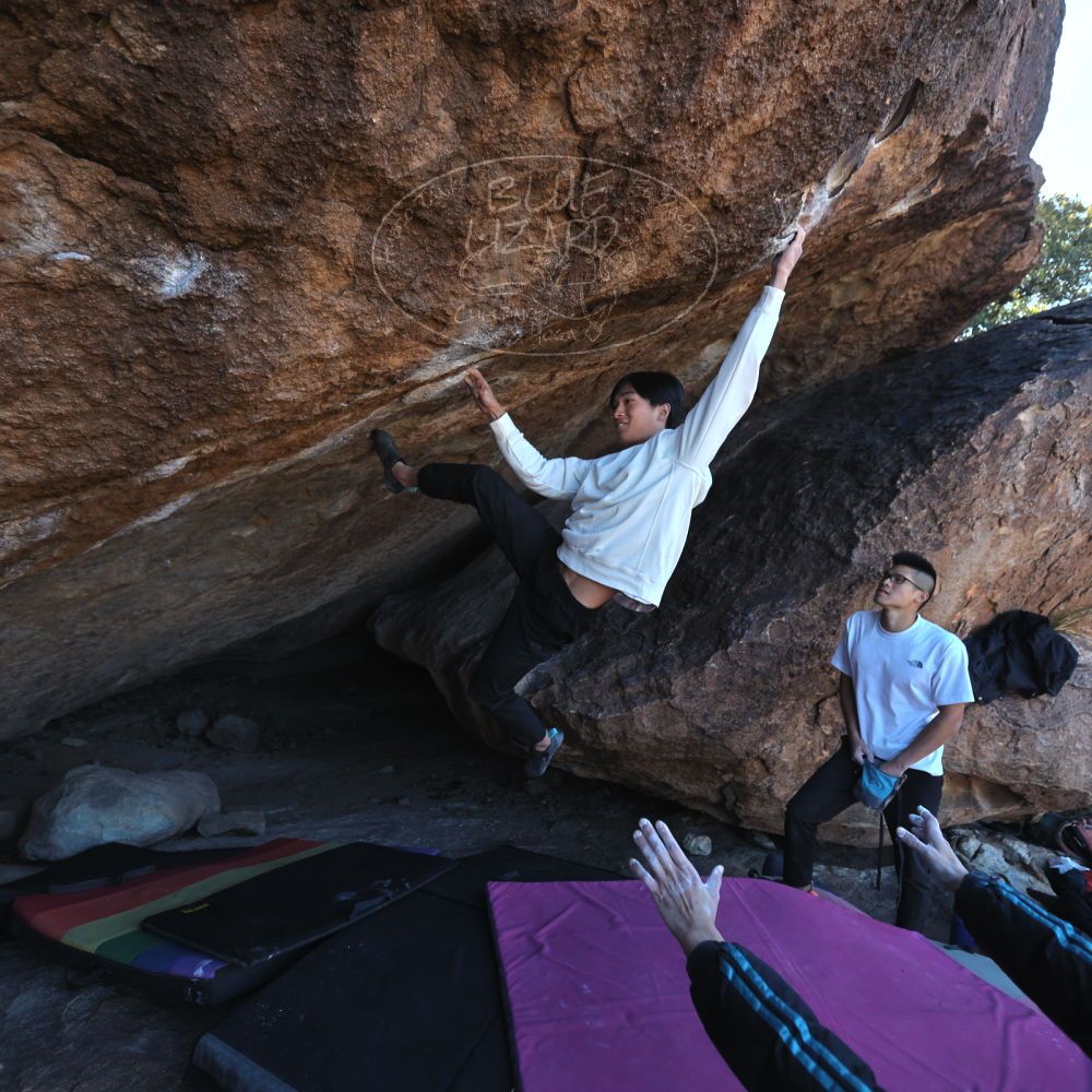 Filename: SRM_20221220_1047310.jpg
Aperture: f/3.5
Shutter Speed: 1/320
Body: Canon EOS R6
Lens: Canon EF 16-35mm f/2.8 L